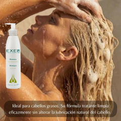 Shampoo Cabello Graso Suavidad Brillo con Romero y Salvia 340ml Exel - tienda online