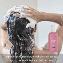 Shampoo Color Protect 250ml Zita - comprar online