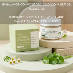 Centella Toner Pad 60un Coony - comprar online