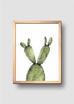 Cuadro Acuarela Cactus Opuntia Macro - comprar online