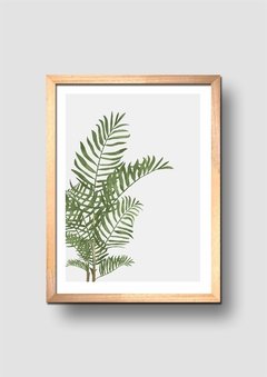 Cuadro Acuarela Planta Hojas Palmera de Salón - comprar online