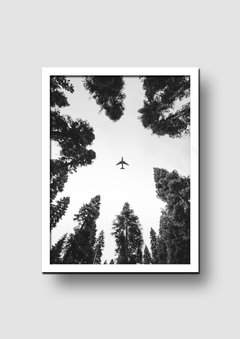 Cuadro Avión en el Bosque - tienda online