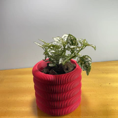 Imagen de 3D M+ PALETA DE PINTOR BLANCA