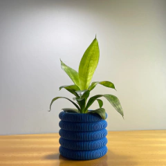 3D S + SANSEVIERIA - comprar online