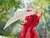 InuYasha - Trio-Try-iT Figure - Inuyasha en internet