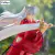 InuYasha - Trio-Try-iT Figure - Inuyasha - WONDER COLLECTION STORE