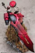 God Eater Burst - Alisa Ilinichina Amiella - 1/8 (Alphamax) - tienda online