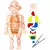 KIT MEDICO CORPO HUMANO EM PLASTICO 6PC GLIV - comprar online