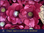 OF 865 - comprar online