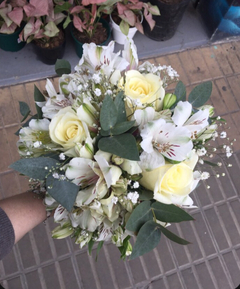 Ramo de Novia Carolina en internet