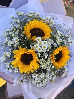 Girasoles Y Margaritas en internet