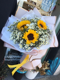 Girasoles Y Margaritas