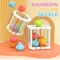 Blocos de Forma Colorida Jogo Baby Montessori Aprendizagem