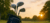 Imagen del carrusel Alternativa Golf