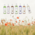 Aromatizante Spray Bambu 280 Ml na internet