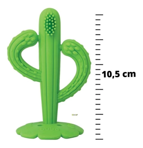 Massageador De Gengiva Cacto VERDE