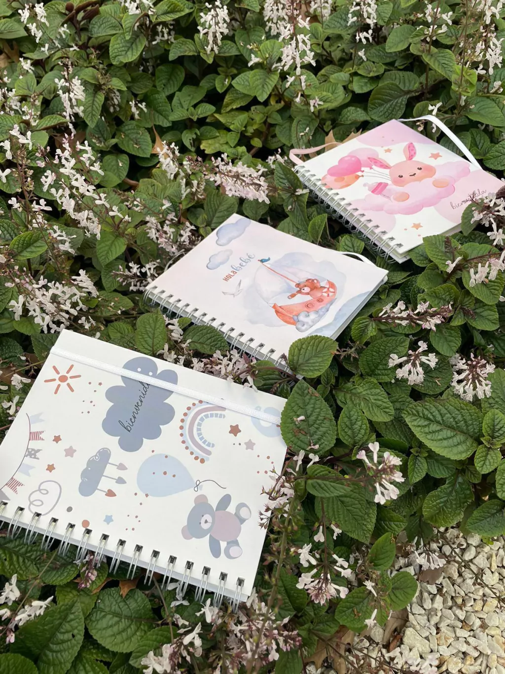Baby Book Anillado - A5 (15*21cm)