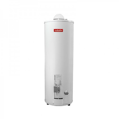 TERMOTANQUE ESKABE 100 LITROS MULTIGAS.