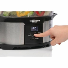 VAPORERA DIGITAL LILIANA NATUREL 1050W 12L AAV930 - comprar online