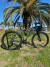 Bicicleta Moove Thalos 29ER 21v Shimano Tourney - tienda online