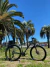 Bicicleta Moove Thalos 29ER 21v Shimano Tourney