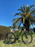 Bicicleta Moove Xylon 29ER 24v Shimano Altus - tienda online