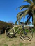 Bicicleta Spy Bullet Elite 29er 1x10 Deore en internet