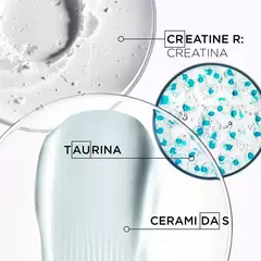 KERASTASE RESISTANCE FORCE ARCHITECTE BAIN 250 M en internet