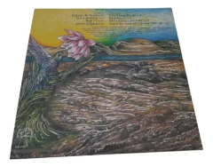 DU ROMPA HAMMOND TRIO - SOL E POEIRA (NOVO) - Spectro Records 