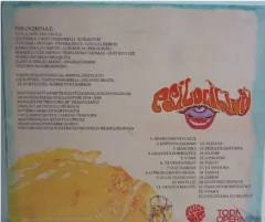 Edu Viola - Psilocibina - comprar online