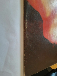 THE JIMI HENDRIX EXPERIECE - ELETRIC LADYLAND (IMPORTADO) - Spectro Records 