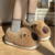 Pantuflas Capibara - tienda online