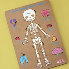 ENCASTRE CUERPO HUMANO 3 NIVELES - comprar online