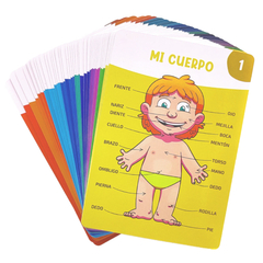 CARTAS DIDÁCTICAS EL CUERPO HUMANO en internet