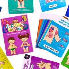 CARTAS DIDÁCTICAS EL CUERPO HUMANO - tienda online