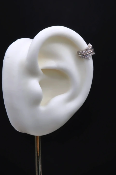 PIERCING FAKE FOLHA CRAVEJADA PRATA 925