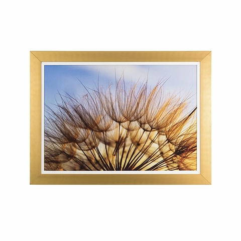 Quadro Decorativo 50x70 Luxo