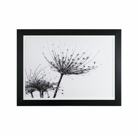 Quadro Decorativo 50x70 Luxo