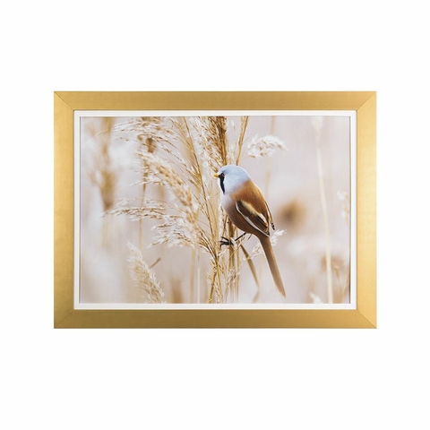 Quadro Decorativo 50x70 Luxo