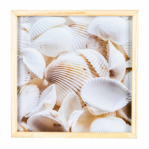 Quadro Decorativo 30x30 C/ Acetato