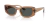 Ray Ban - RB4446L 678487