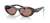 Prada - PR 26Z 17N60B