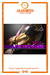 Angewomon / Tailmon - Digivolving Spirits 04 - Digimon Adventure en internet