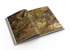 200 AÑOS. LA RUTA DE LA LIBERTAD. - comprar online