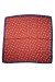 PAÑUELO LANILLA PUNTOS 70BAL23 - tienda online