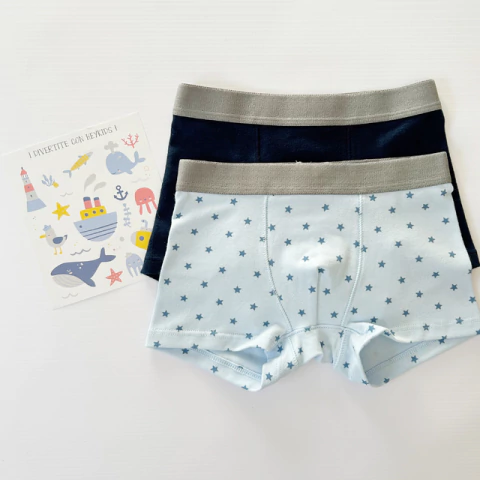 Boxer - comprar online