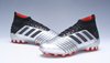 Chuteira Adidas Predator 19.1