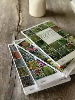 150 Plantas fáciles que se cultivan en Argentina en internet
