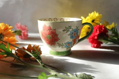 Taza Dhalia
