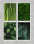 CONJUNTO 4 QUADROS - FOLHAGENS - Mosarte Quadros